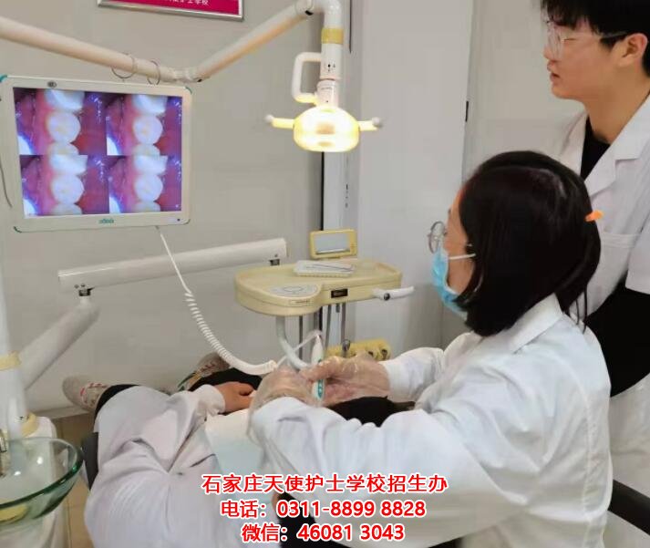 石家莊天使護士學校口腔專業就業方向