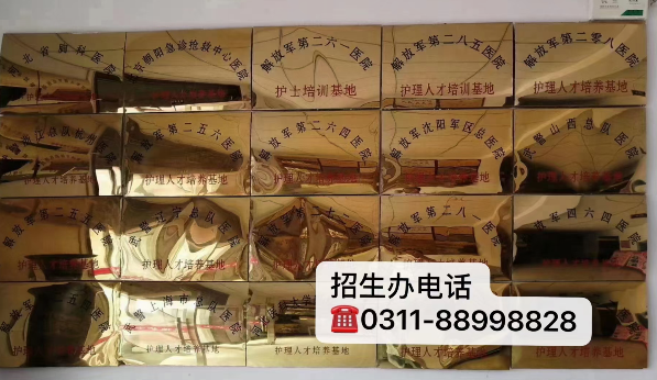 初中畢業生來石家莊天使護士學校學習護士就業前景怎么樣？ 